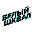 Логотип: Белый Шквал