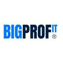 Логотип: BIG PROFIT