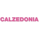 Логотип: Calzedonia