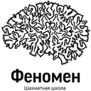 Логотип: Феномен