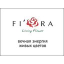 Логотип: Fi’ora