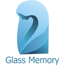 Логотип: Glass memory