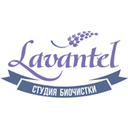 Логотип: Lavantel