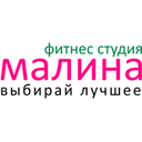 Логотип: Малина