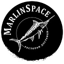 Логотип: MARLINSPACE