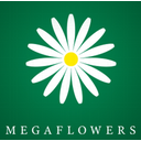 Логотип: Megaflowers