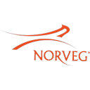 Логотип: Norveg