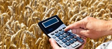 Программы государственного субсидирования фермерства